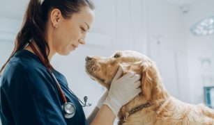 Aktywność zamiast czekania. Historia operacji palucha koślawego u 40-letniej lekarki weterynarii (2)