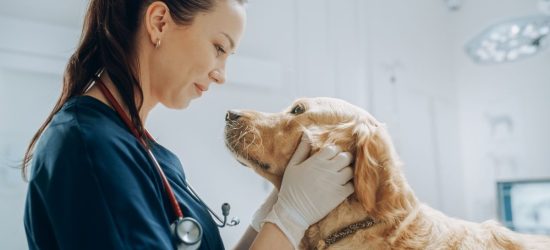 Aktywność zamiast czekania. Historia operacji palucha koślawego u 40-letniej lekarki weterynarii (2)