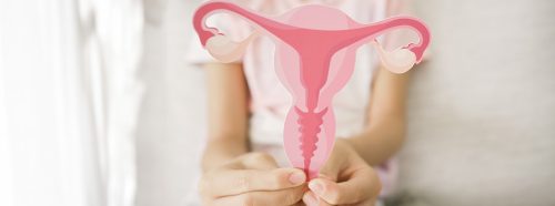 endometrium-a-plodnosc-kluczowa-rola-blony-sluzowej-macicy-w-zdrowiu-reprodukcyjnym-1-1