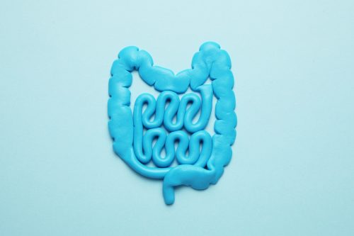 Intestines and pills, probiotics, antibiotics. Gut protection, recovery from illness and treatment