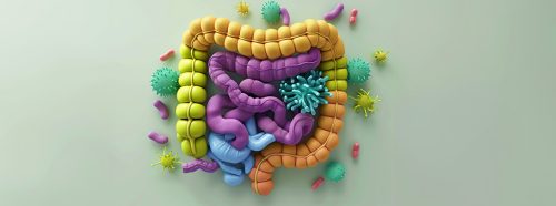 sibo-czym-jest-zespol-rozrostu-bakteryjnego-jelita-cienkiego-jakie-daje-objawy-i-jak-sie-go-leczy-1-1