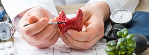 tarczyca-czym-jest-i-na-co-moze-chorowac