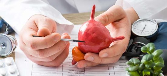 usuniecie-zylakow-ponowotwor-pecherza-moczowego-objawy-diagnostyka-leczeniewrozka-nasiennego-metoda-laparoskopowa-i-mikrochirurgiczna