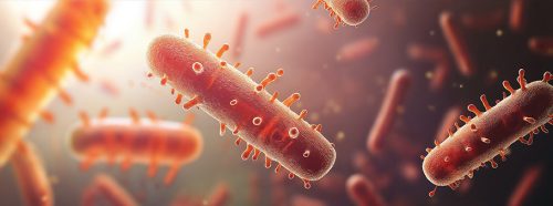 zakazenie-clostridioides-difficile-jaka-diete-stosowac-i-co-mozna-jesc-1