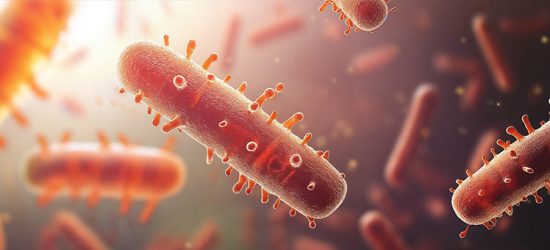 zakazenie-clostridioides-difficile-jaka-diete-stosowac-i-co-mozna-jesc-1