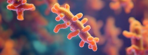 zapomniana-ale-niepokonana-blonica-w-xxi-wieku-1