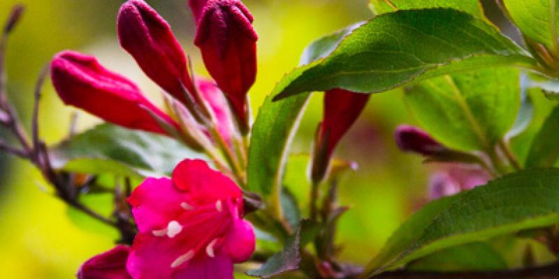 zielone-szpitale-neo-hospital-angazuje-sie-w-swiatowy-dzien-ziemi